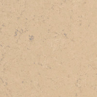 quartz-bio-noce