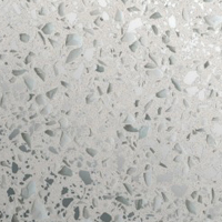 silestone-white-platinum-sq